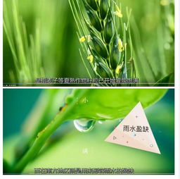 小满不满，麦有一险——守护麦田的最后一公里