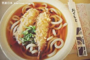 探索日本十大旅游胜地的标志性美食 一粒麦子的风味之旅